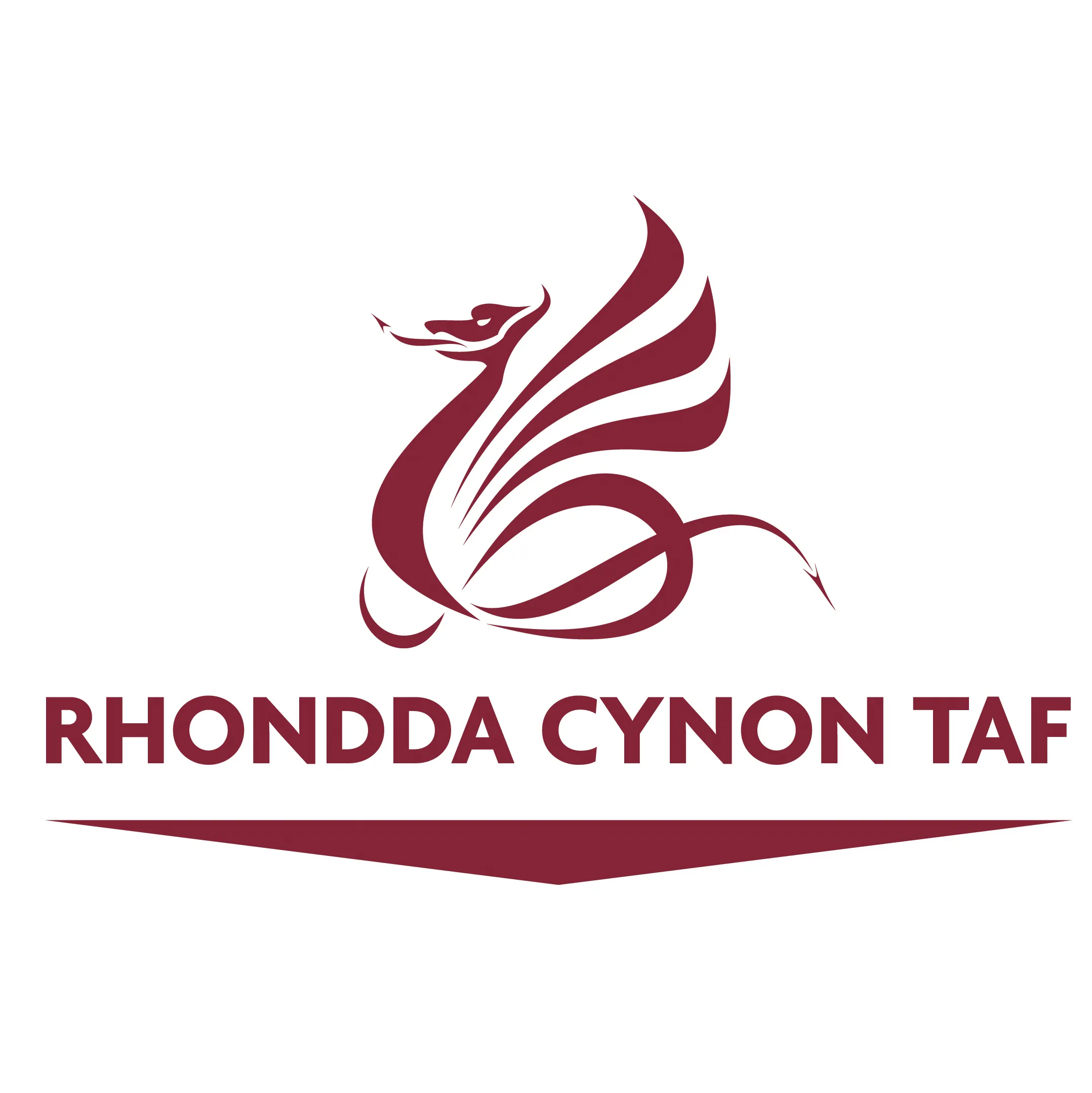 Rhondda Cynon Taf Council